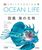 OCEAN LIFE } C̐