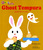 CD łޖ삦ق(2) Ghost Tempura ΂̂ĂՂ